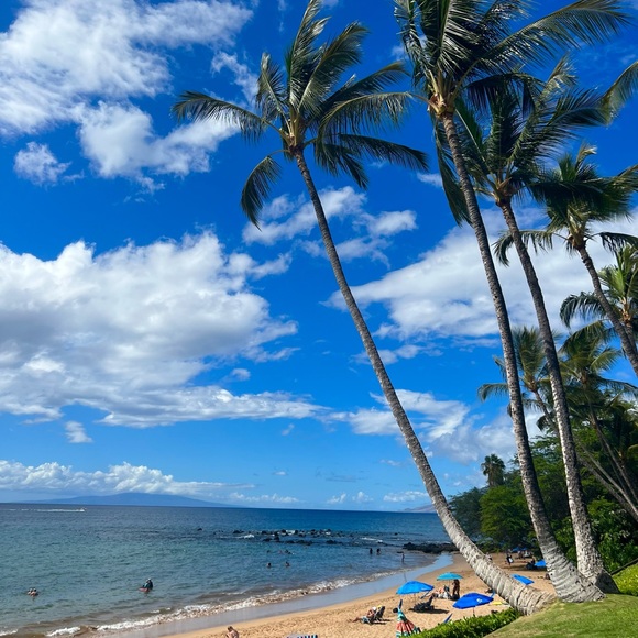 Aloha 🌸 - Picture 3 of 11